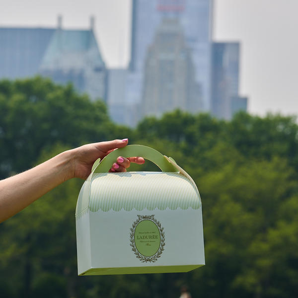 Laduree picnic box